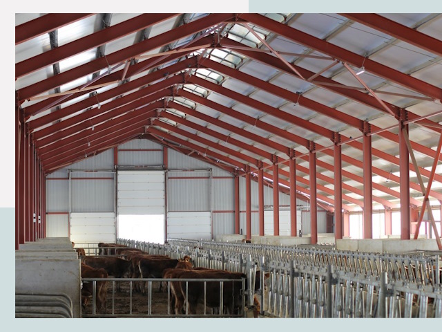 Строительство коровников в Тынде