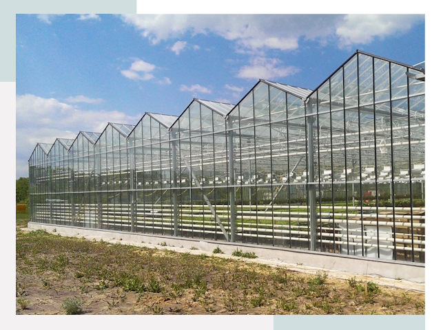 Строительство теплиц в Тында от 617 руб. за м²